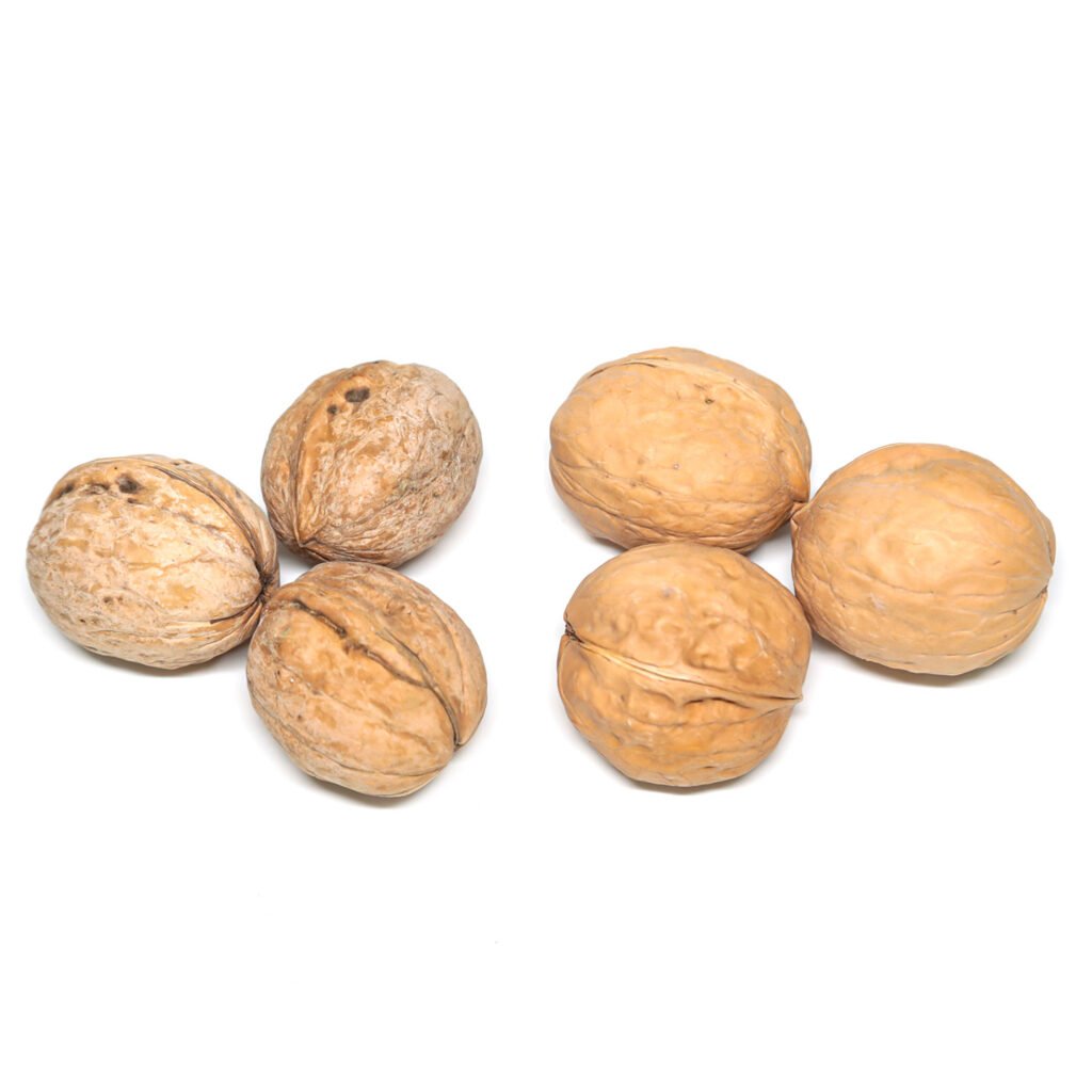 185 thin skin inshell walnut, washed and unwashed 